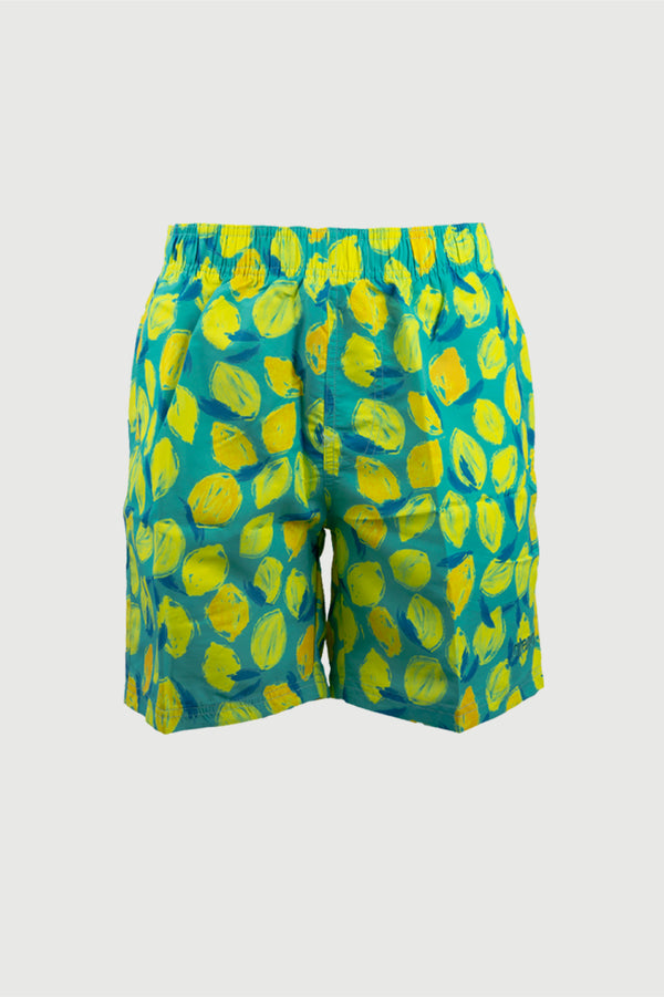 Arena Adult's Print Beach Shorts - 17"